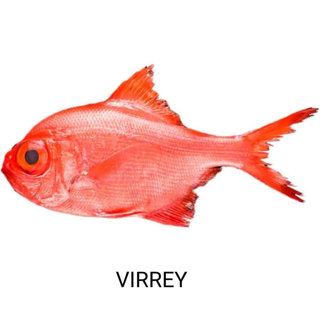 pescado-azul-virrey