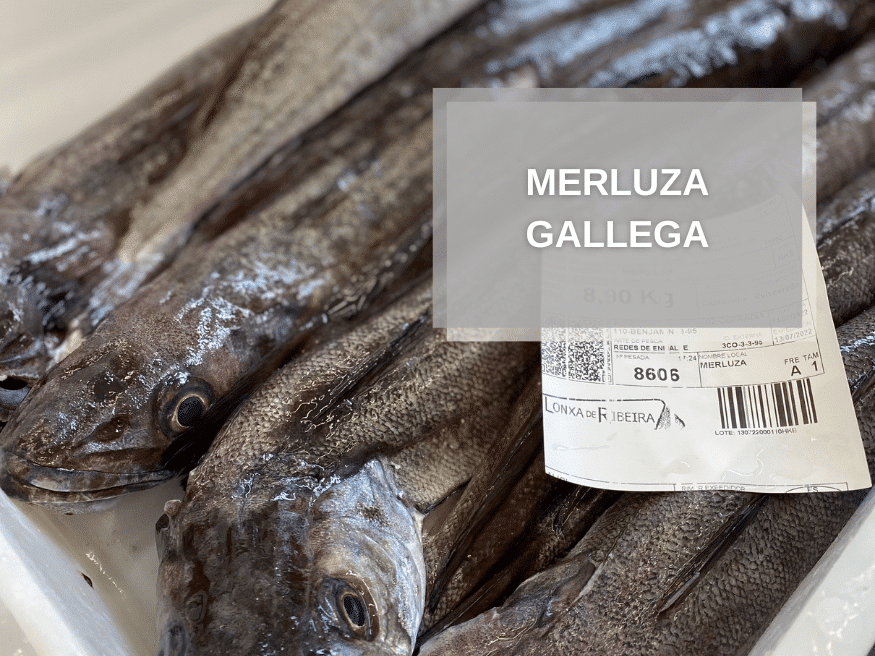 La merluza gallega, calidad todo el año - Pescadería Online Coyomar |  Compra Pescado y Marisco Gallego