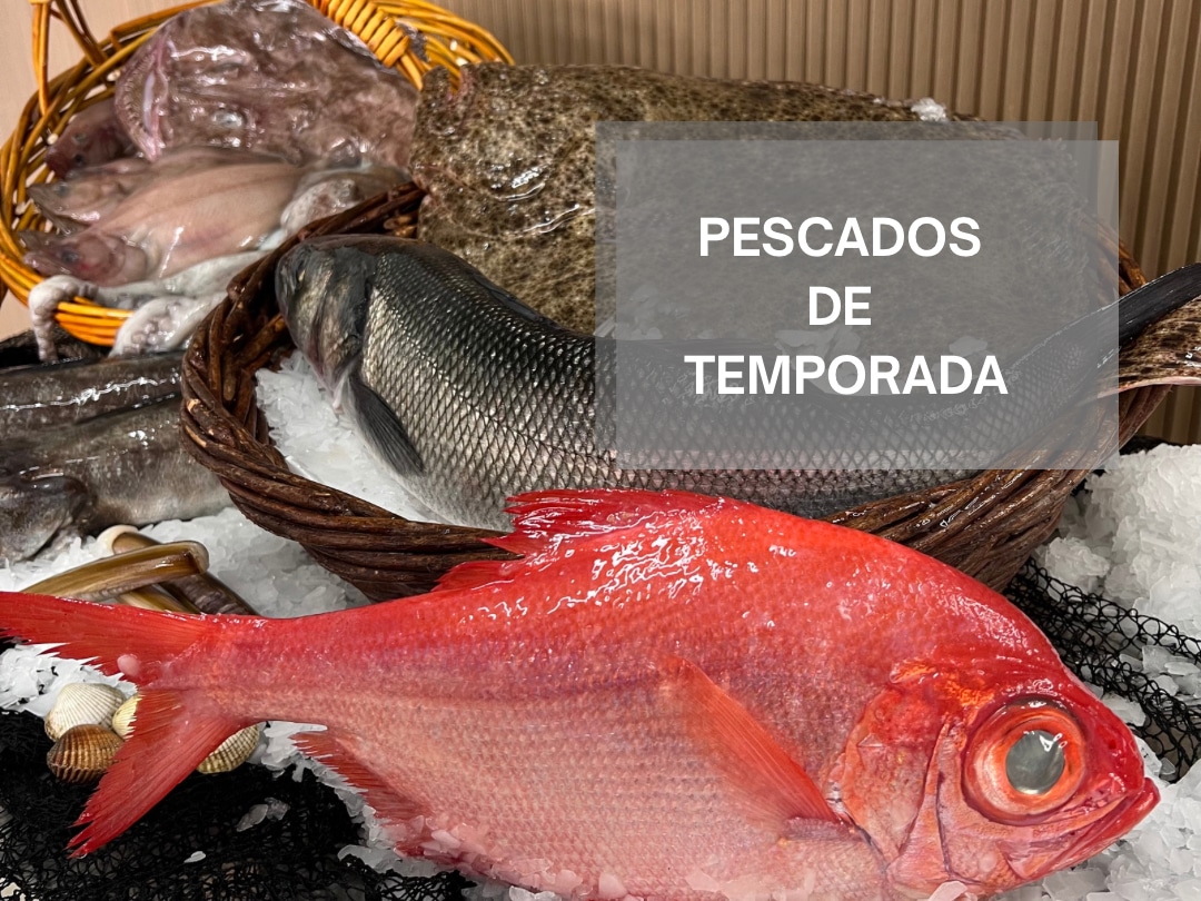 Guía de pescados de temporada