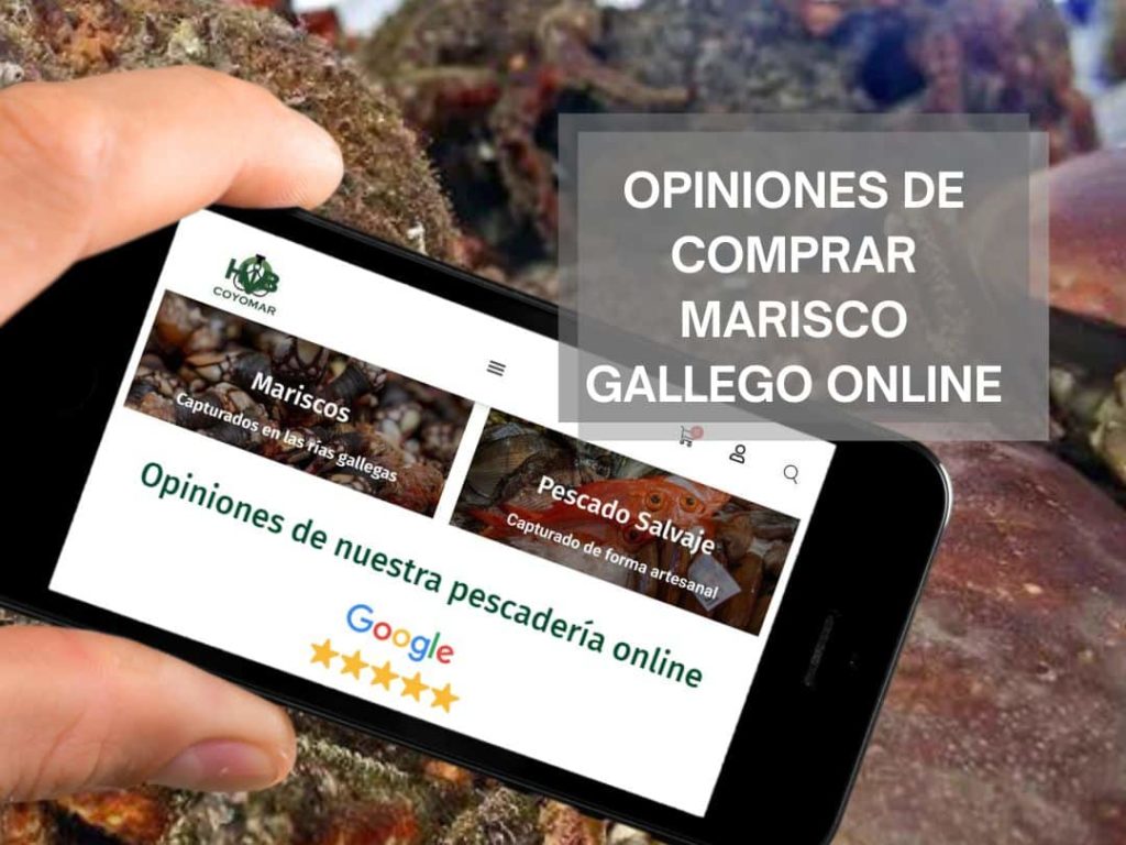 opiniones marisco gallego